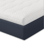 moderano_lavender_tm_7