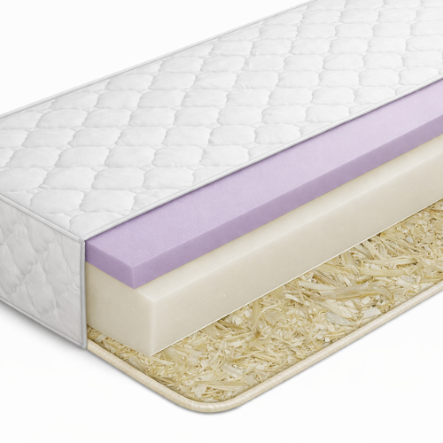 moderano_leon_5