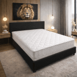 moderano_leon_7