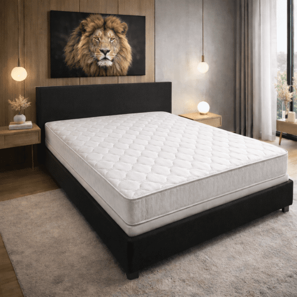 moderano_leon_7